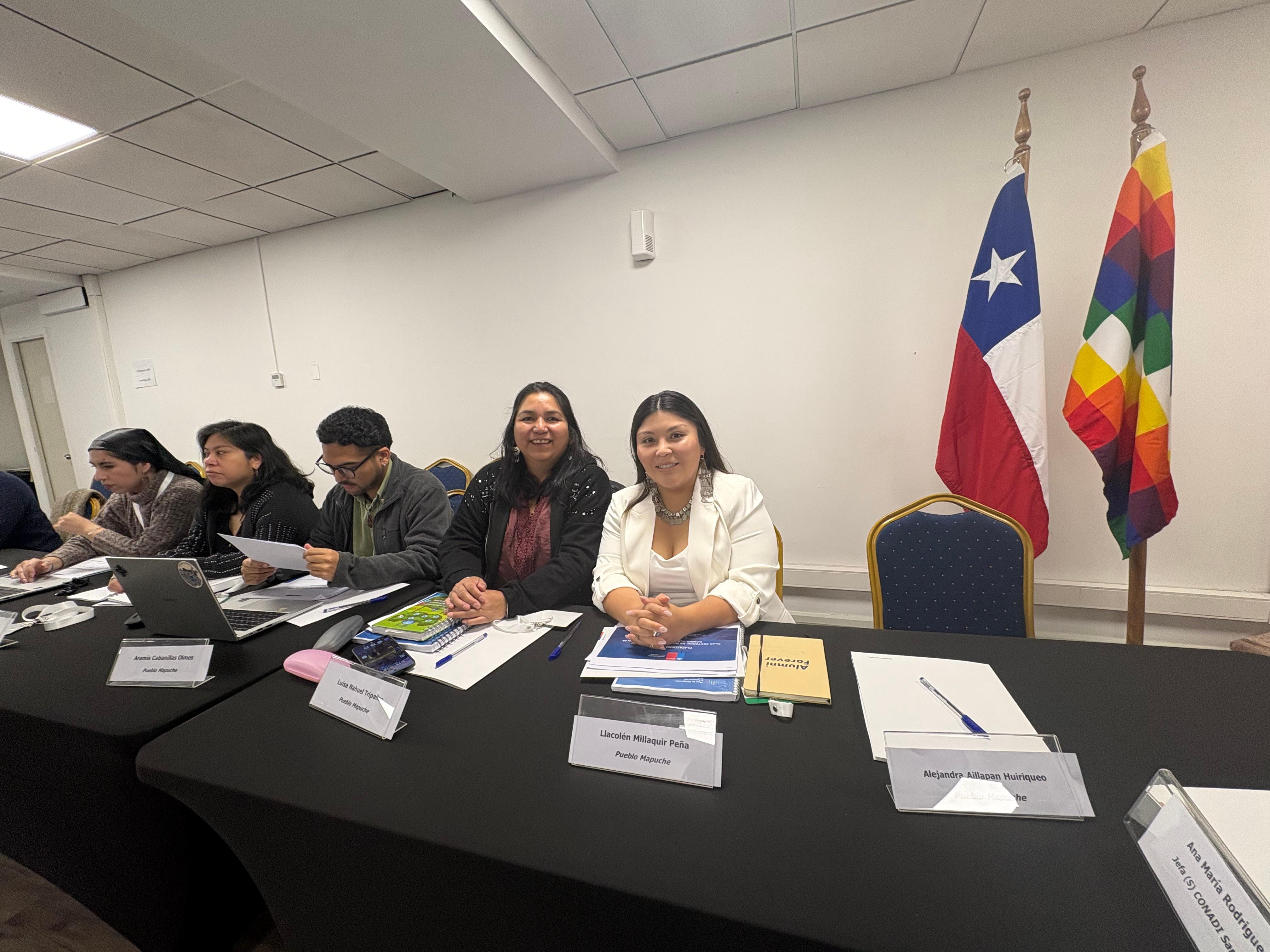 Llacolen Millaquir en el COSOC del Ministerio de Energía de Chile